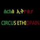 Circus Ethiopia - School - Ethiopia - StageLync