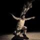 MSA &amp; Circus Arts - School - United States - StageLync