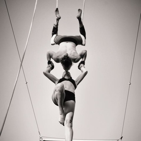 Tal Taubenfeld - Individual - Canada, Israel, Romania - StageLync