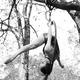 Melissa Hubbell  - Individual - United States - StageLync