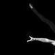 Nicole  Landkas  - Individual - United States - StageLync