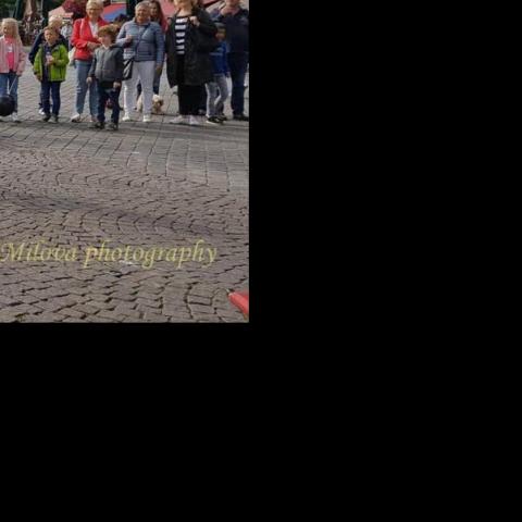 Geert Mestrom - Individual - Netherlands - StageLync