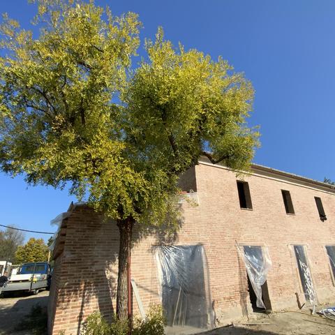 Casa Fellini - School - Italy - StageLync