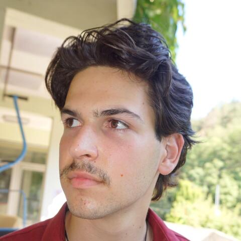Alfred Hidvegi - Individual - Hungary, Israel - StageLync
