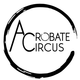 Acrobate-circus - Company - France - StageLync