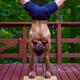 Jeff Rechtman - Individual - United States - StageLync