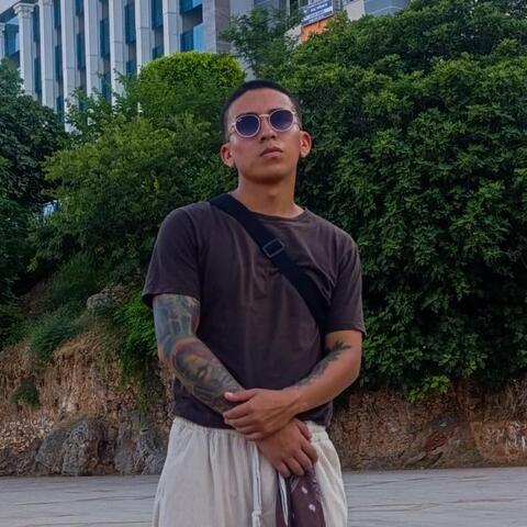 Brayan  Alvarado Castro  - Individual - Colombia - StageLync