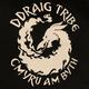 Ddraig Tribe - Company - United Kingdom - StageLync