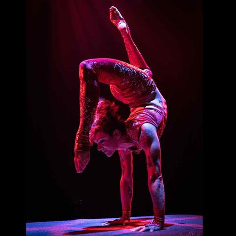 Rachel Barringer - Individual - United States - StageLync