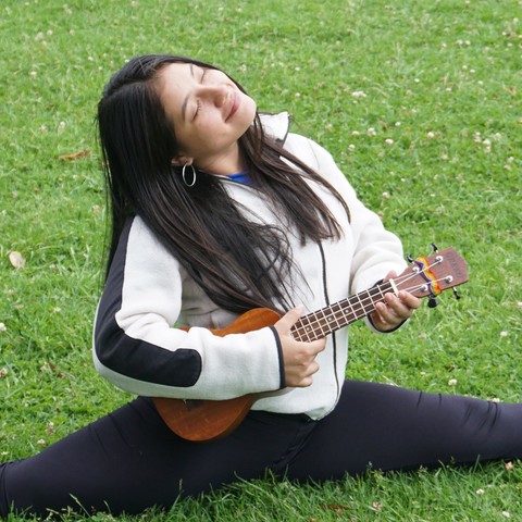 annie michel - Individual - Colombia - StageLync