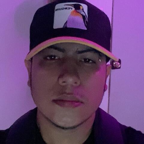 Javier Alejandro  Palomino Perez - Individual - Mexico - StageLync