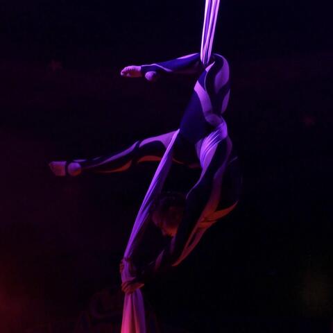 Ariel Andresen - Individual - Norway - StageLync