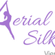 Aerial Silk Vienna - School - Austria - StageLync