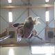 Ambre Ros - Individual - France - StageLync