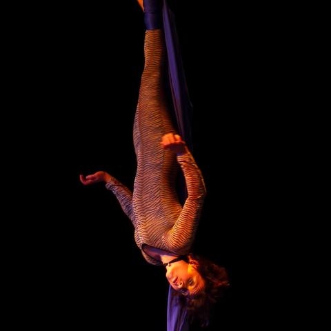 Rike Greusing - Individual - Germany - StageLync