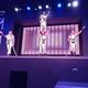 Circo  elemento - Company - Mexico - StageLync