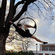 Bryant Rivera Cortez - Individual - El Salvador, United States - StageLync