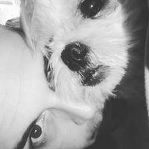 carlo forghieri - Individual - Italy - StageLync