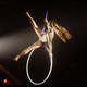 Selena Petrovic - Individual - Austria, Cuba, United Arab Emirates - StageLync
