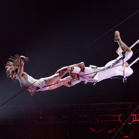 Avital Poeschko - Individual - Israel, New Zealand, United Kingdom - StageLync