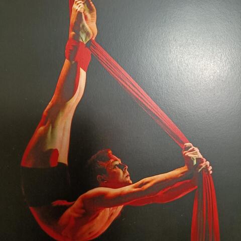 Daniel Power - Individual - Australia - StageLync