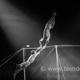 Arthur Burkovskiy - Individual - Ukraine - StageLync