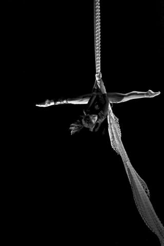 Fran Sperling - Individual - United States - StageLync