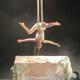 Orlanda Forrest - Individual - United Kingdom - StageLync
