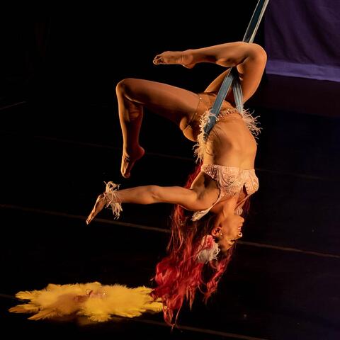 Evelyn Violetear - Individual - Mexico, United States - StageLync