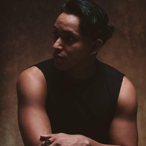 Jose luis Salcedo zarate - Individual - Colombia - StageLync