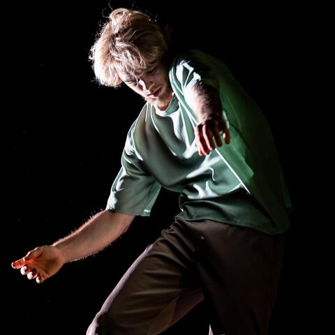 Ivar van Woenzel - Individual - Netherlands - StageLync