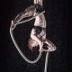 Emily Chilvers - Individual - Australia - StageLync