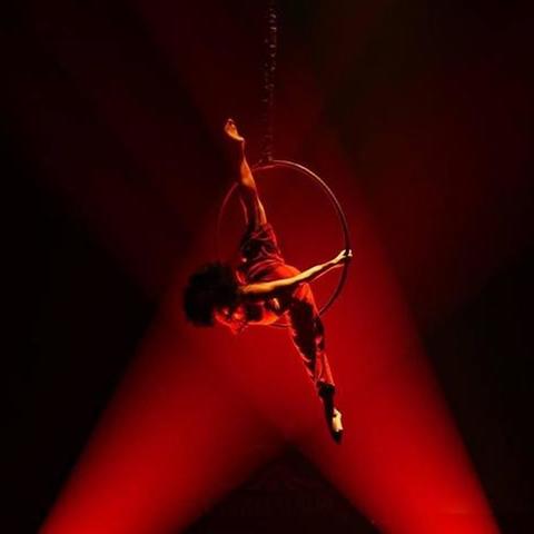Sara Greenberg - Individual - Canada, United States - StageLync