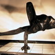 Taras Nadtochii - Individual - Ukraine - StageLync