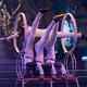 Ewnetu Hassen - Individual - Spain - StageLync
