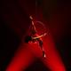 Sara Greenberg - Individual - Canada, United States - StageLync