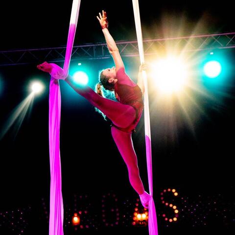 Mary Aherne  - Individual - Ireland - StageLync