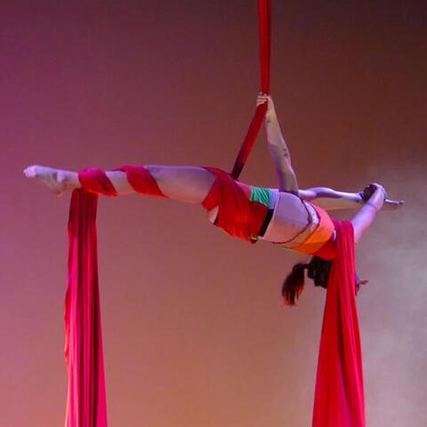 Nuria Vidal Segura - Individual - Spain - StageLync