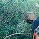 Daniel Padilla - Individual - Mexico - StageLync