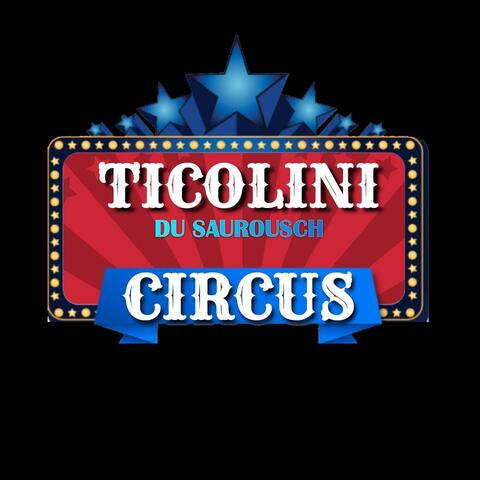 Ticolini Entertainment - Company - United States - StageLync