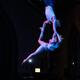 Kat Harvey - Individual - United States - StageLync