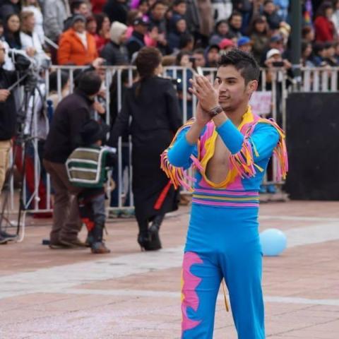 Alvaro Ignacio Salinas Flores - Individual - Chile - StageLync