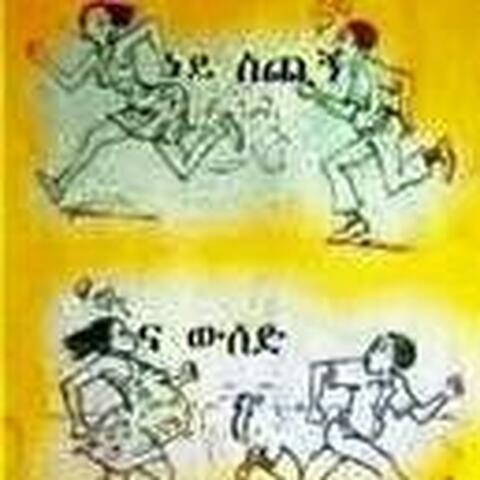 biniyam negash - Individual - Ethiopia - StageLync