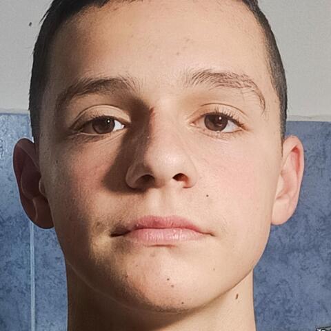 Vulpescu Stefan - Individual - Romania - StageLync