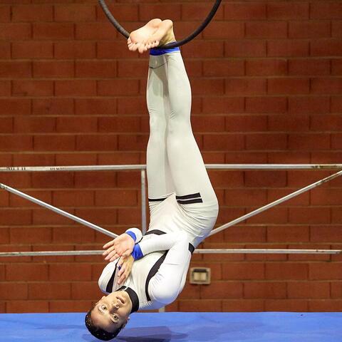 Daniela Vecchione - Individual - Italy - StageLync