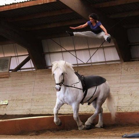 Latifeh Hadji - Individual - France, Switzerland - StageLync