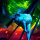Zacada Entertainment - Company - Canada - StageLync