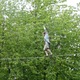 Shane Gilliland - Individual - Ireland - StageLync