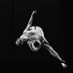 Elsa Hall - Individual - Germany, United States - StageLync