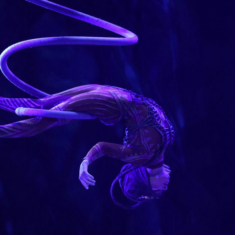 Mylène  Catroux  - Individual - France - StageLync